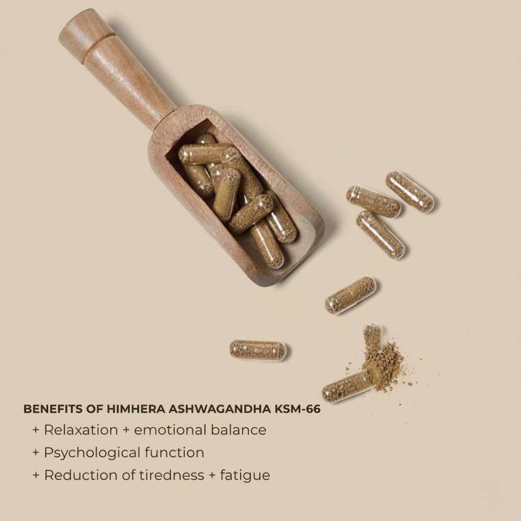 Wooden scoop with Ashwagandha KSM-66 capsules on a beige background