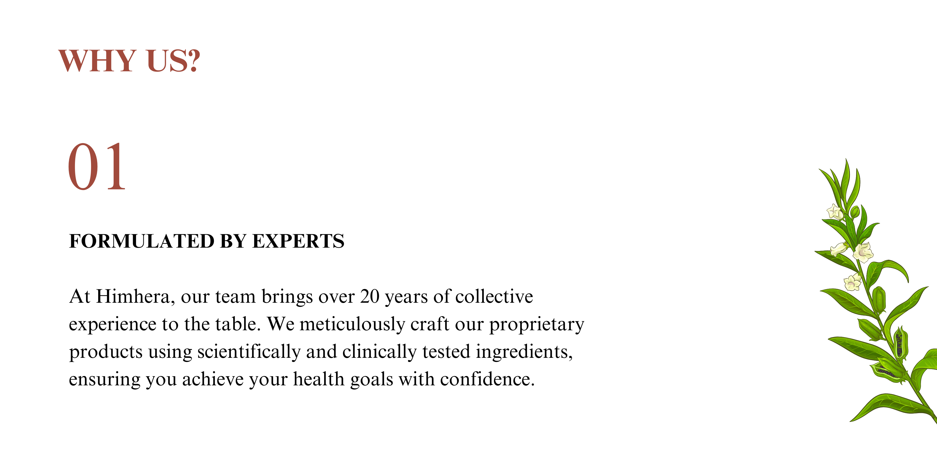 Why Us: Himhera is formulated  by experts.