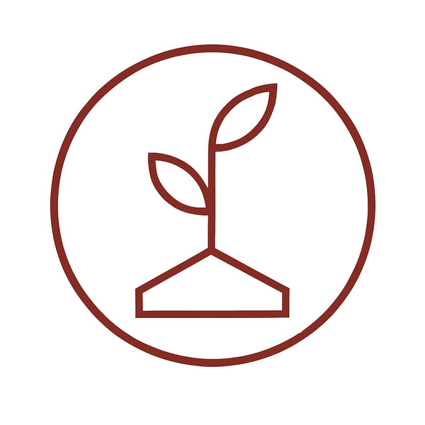 Icon of a plant growing out of a seedling with a circular border on a white background